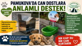 doğa can.fw