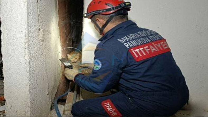 Apartman Boşluğunda Bir Haftalık Yaşam Mücadelesi: İtfaiye Ekipleri Zamanla Yarıştı..