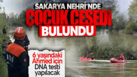 qwqw