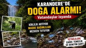 sdd.fw