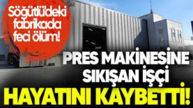 sdsde