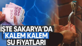 suya zam