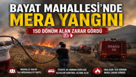 BAYAT.fw