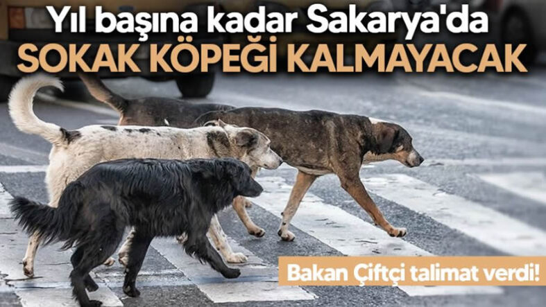 bkn