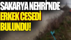 dfdf