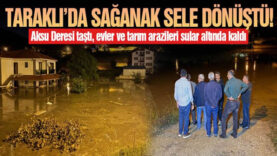 dsd