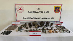 geyve defıne