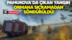 pamukova yangın
