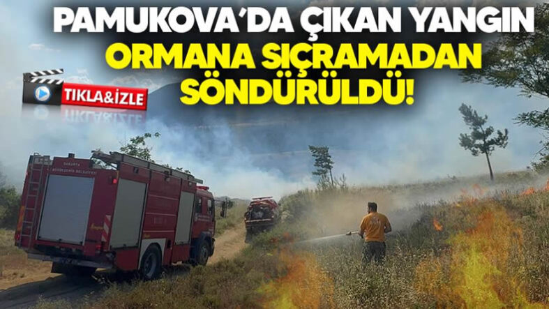 pamukova yangın
