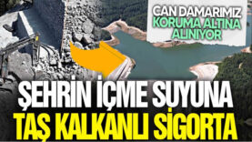 sdd