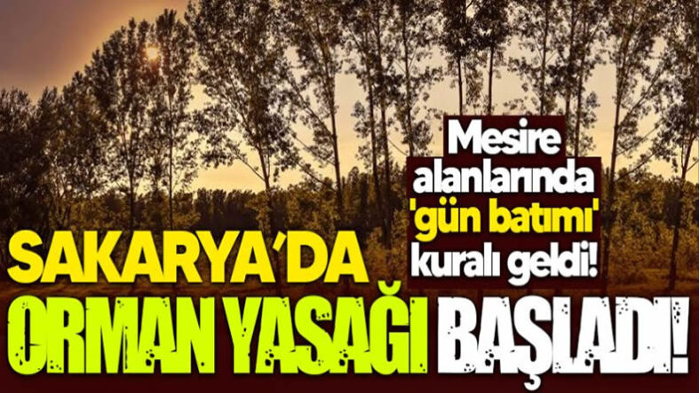 Sakarya Genelinde Orman Yasağı Başladı; Mesire Alanlarında Bile ‘Gün Batımı’ Kuralı Geldi!