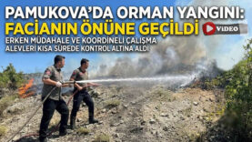 yangın