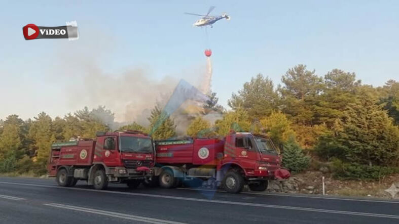 yangın