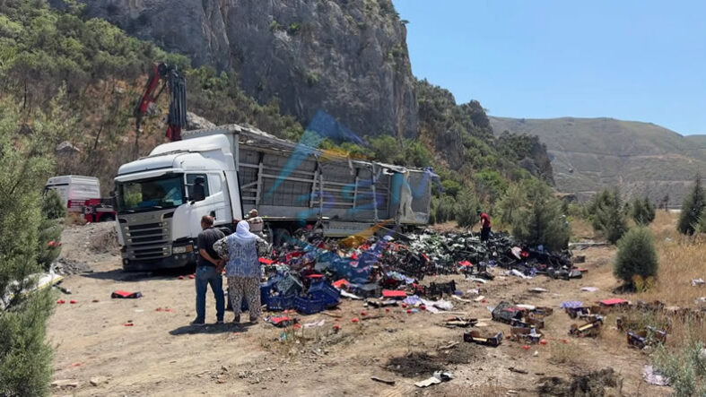 Lastiği Patlayan Tır Yoldan Çıktı: Meyve ve Sebzeler Çevreye Savruldu..