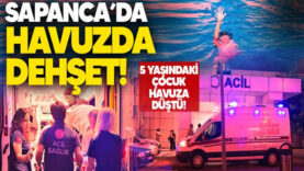 dse