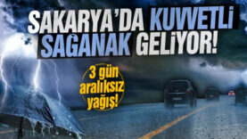 fghfg