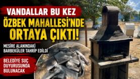 özbek.fw