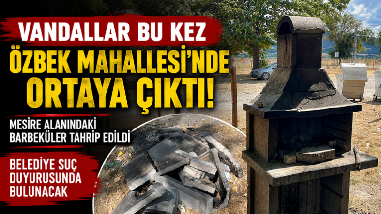 özbek.fw