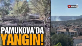 yangıunn