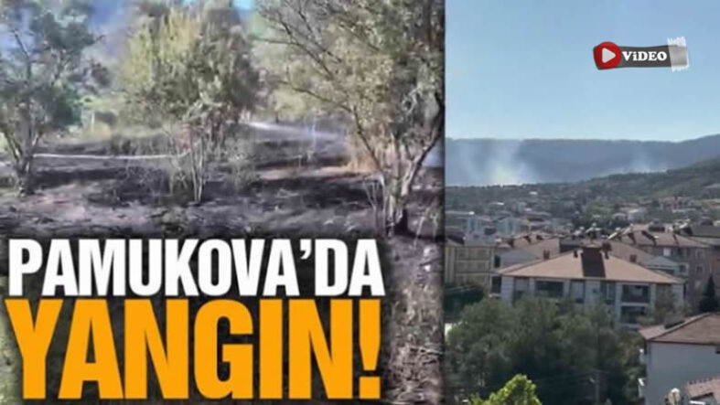 yangıunn