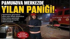 yılan