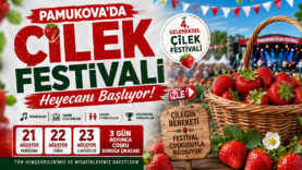 Pamukova Çilek Festivali