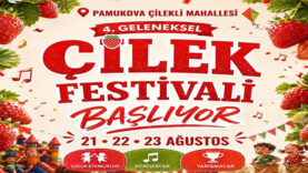 çilek festivali