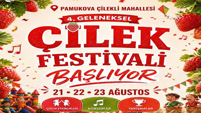 çilek festivali