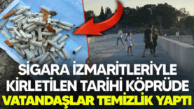 dsds