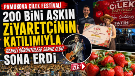 festıvall.fw