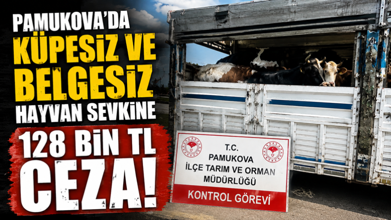 Pamukova’da Küpesiz ve Belgesiz Hayvan Sevkine 128 Bin TL Ceza…