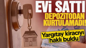dfvfd