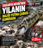 yhn.jpg12