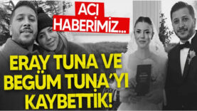 dse