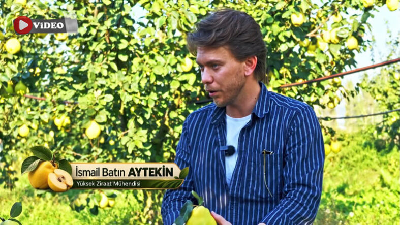 Pamukovalı Yüksek Ziraat Mühendisi Ayvanın Hikayesini Belgeselde Anlattı…